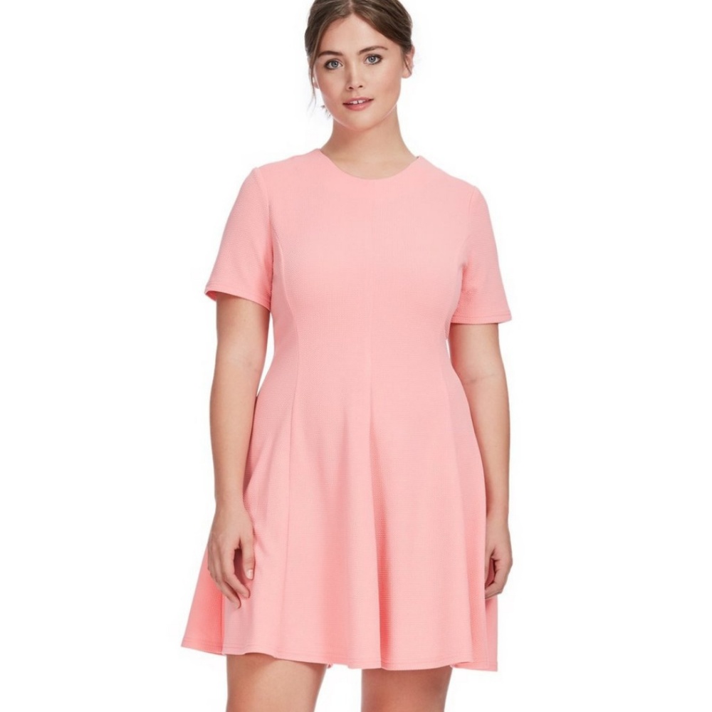 Short Sleeve Knit Textured Fit & Flare in Pink